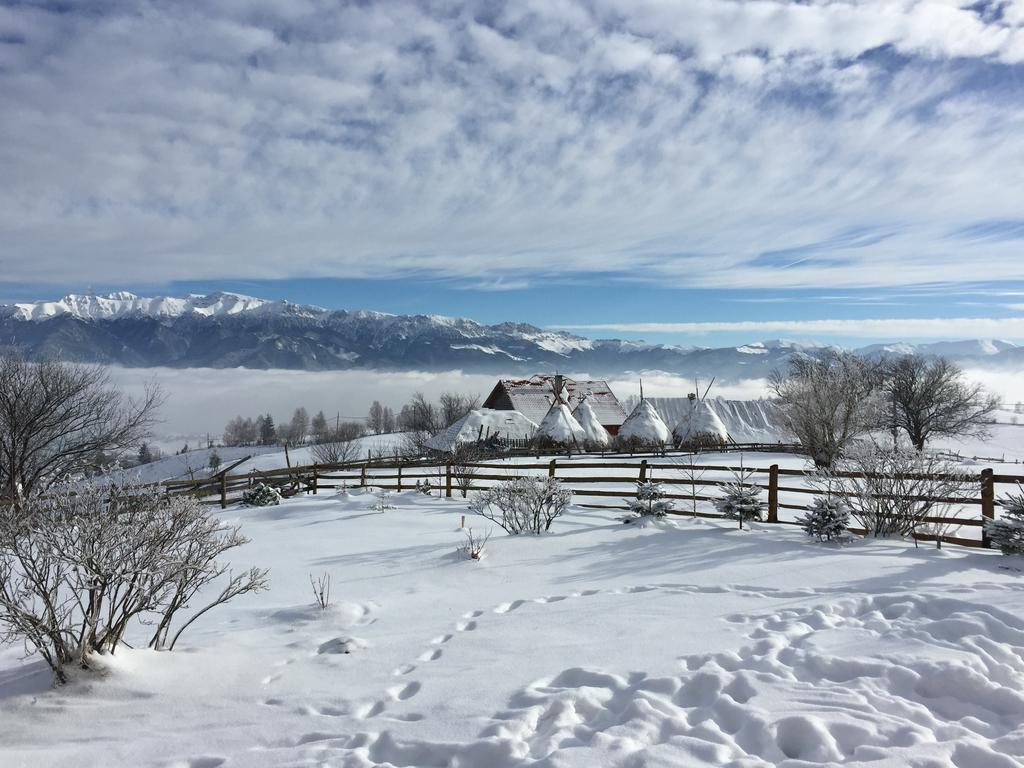Chalet Ro Пештера Экстерьер фото